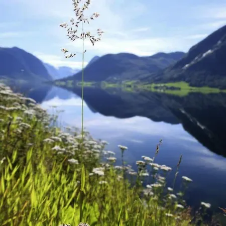 Jølster View Årdal