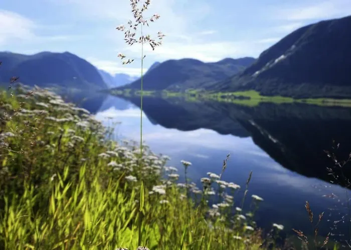 Jolster View Årdal
